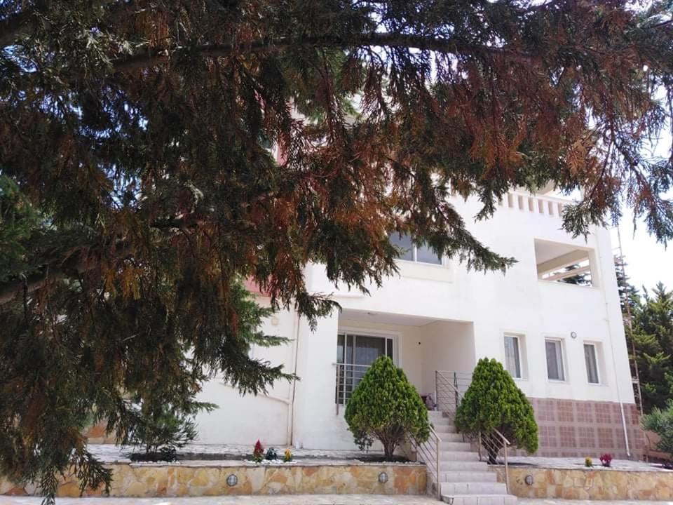 Treasures B&B Paloukia Εξωτερικό φωτογραφία