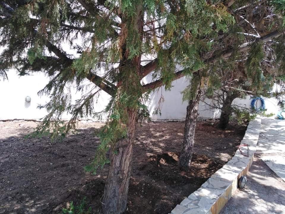 Treasures B&B Paloukia Εξωτερικό φωτογραφία