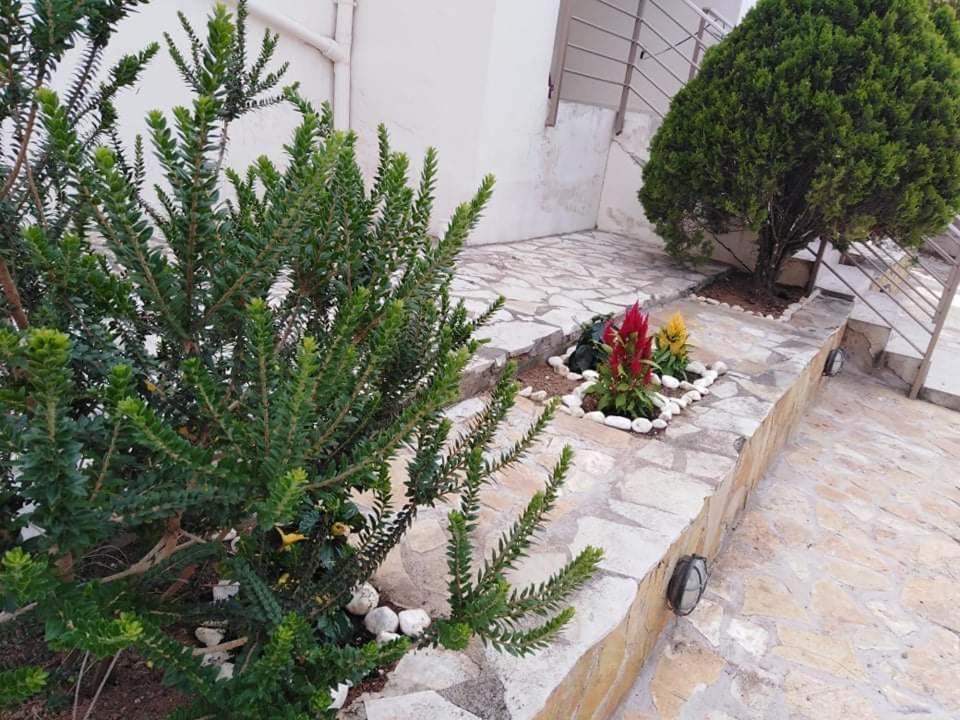 Treasures B&B Paloukia Εξωτερικό φωτογραφία