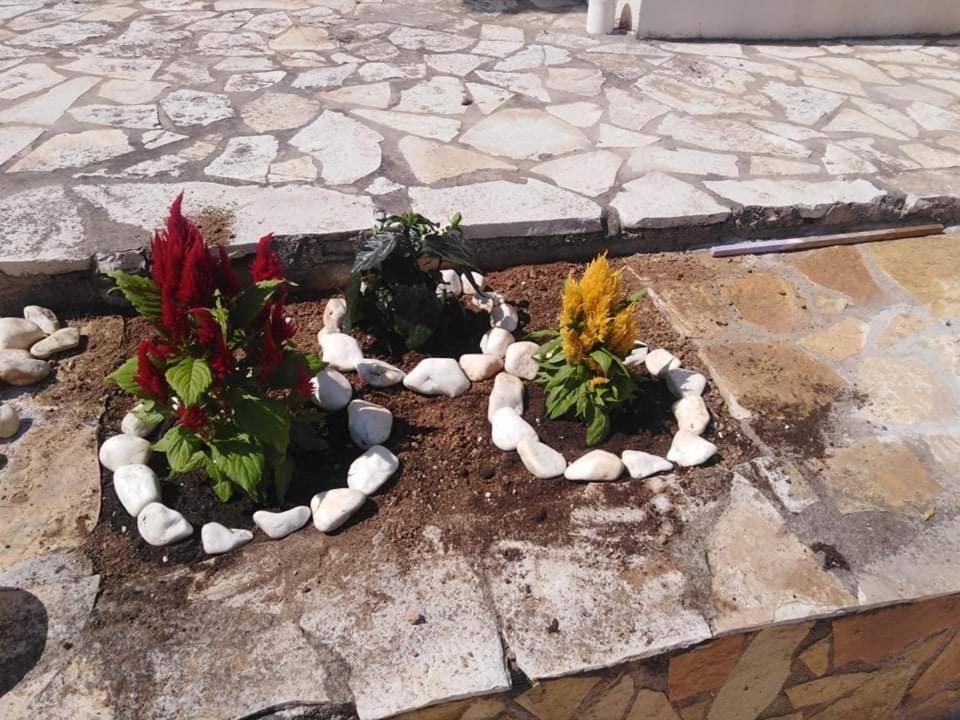 Treasures B&B Paloukia Εξωτερικό φωτογραφία