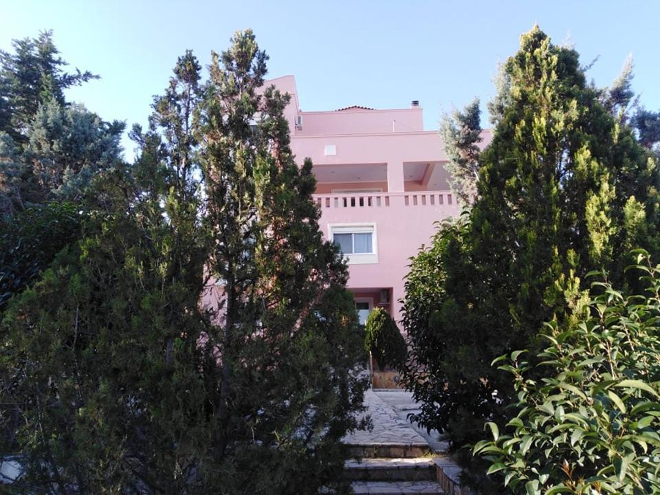 Treasures B&B Paloukia Εξωτερικό φωτογραφία