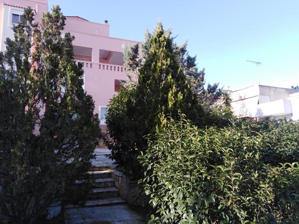 Treasures B&B Paloukia Εξωτερικό φωτογραφία